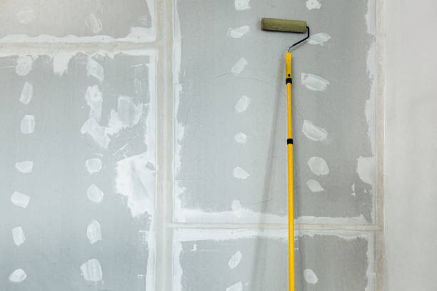 Professional Mold Removal in Hazleton, PA